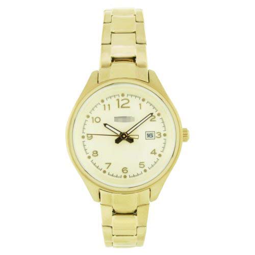 AM4365 Watch Battery