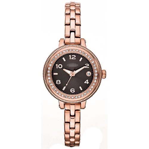 AM4367 Watch Battery
