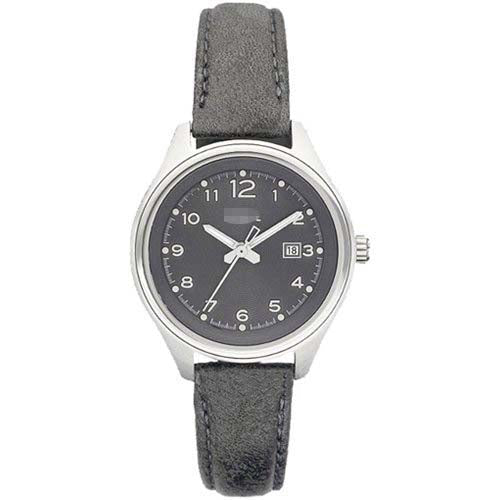 AM4378 Watch Battery