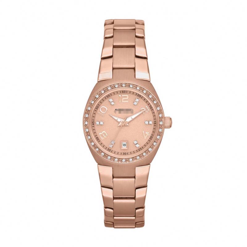 AM4508 Watch Battery