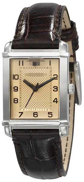 AR0491 Watch Battery