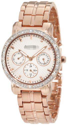 ASA841RG Watch Battery