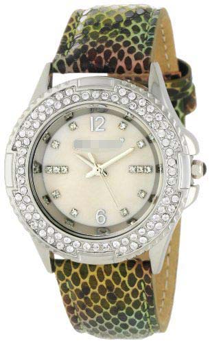 BS1033GR Watch Battery