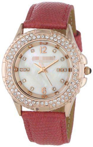 BS1033PI Watch Battery