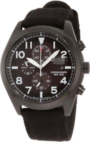 CA0255-01E Watch Battery