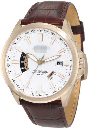 CB0013-04A Watch Battery