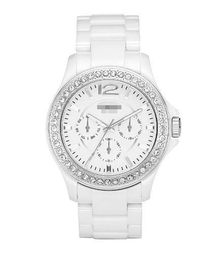 CE1010 Watch Battery