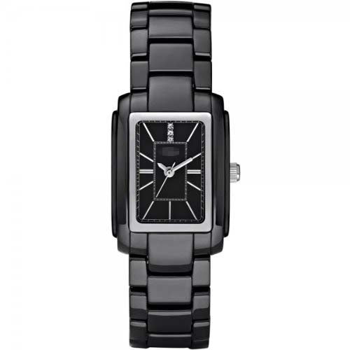 CE1025 Watch Battery