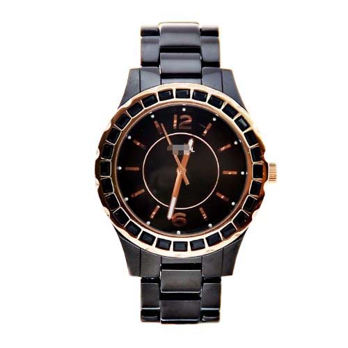 CE1069 Watch Battery