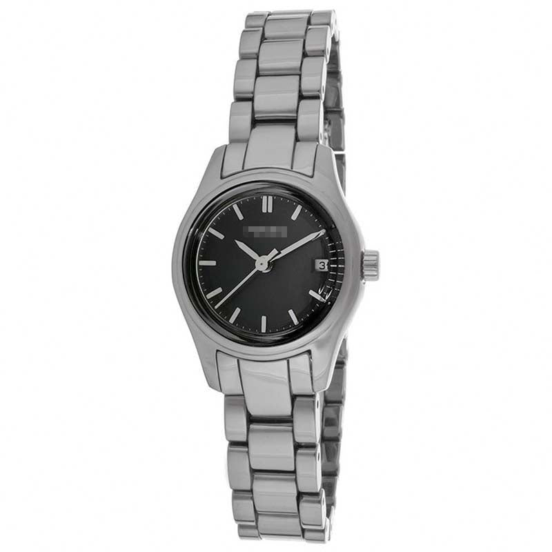 CE1073 Watch Battery