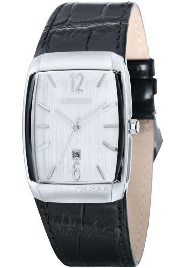 CR8005-02 Watch Battery