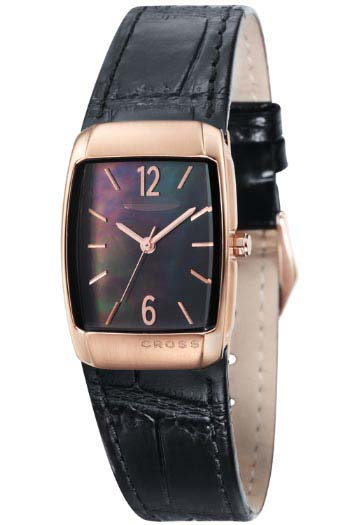 CR9005-04 Watch Battery