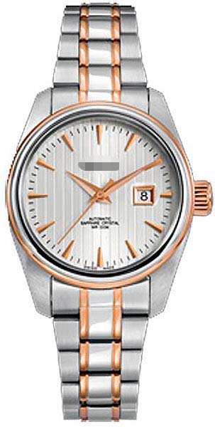 D123RSV Watch Battery