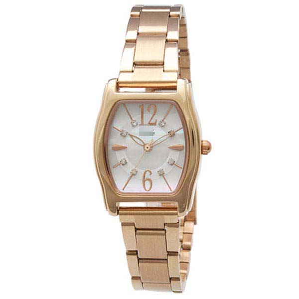 DL715-PG Watch Battery