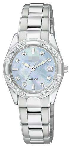 EW1821-55Y Watch Battery