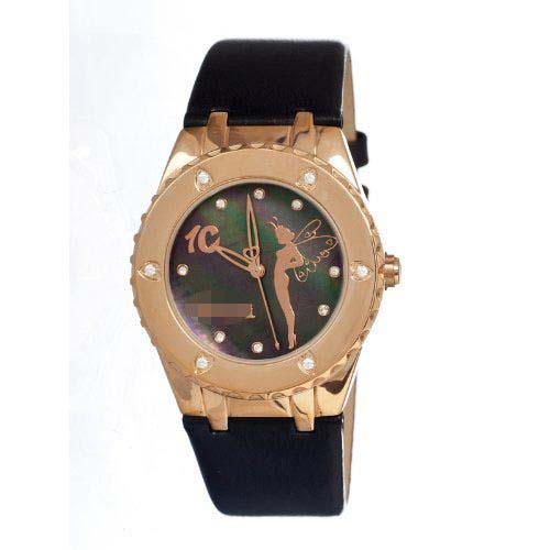FR005BRBB-S Watch Battery