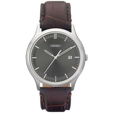FS4672 Watch Battery