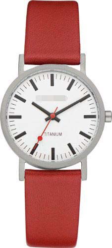 IV19Q199 Watch Battery