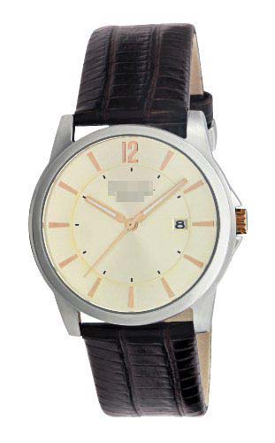KC1720 Watch Battery