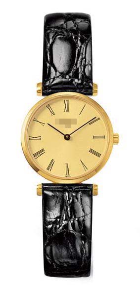 L4.209.2.31.2 Watch Battery