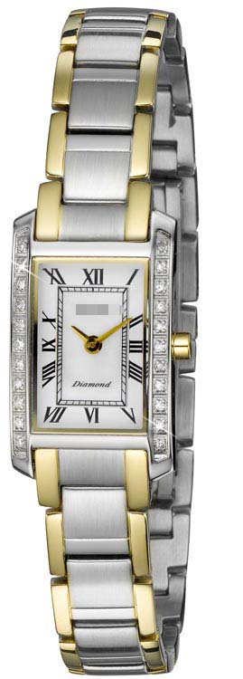 LB1589RN Watch Battery