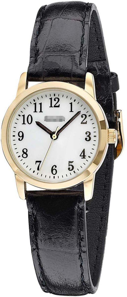 LS673WA Watch Battery