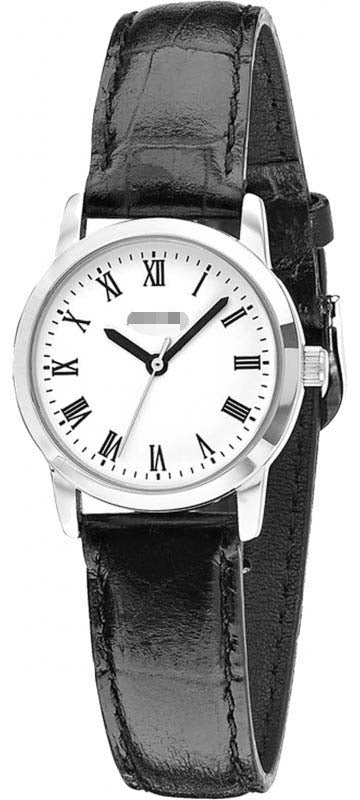 LS676WR Watch Battery
