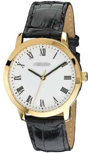 MS675WR Watch Battery