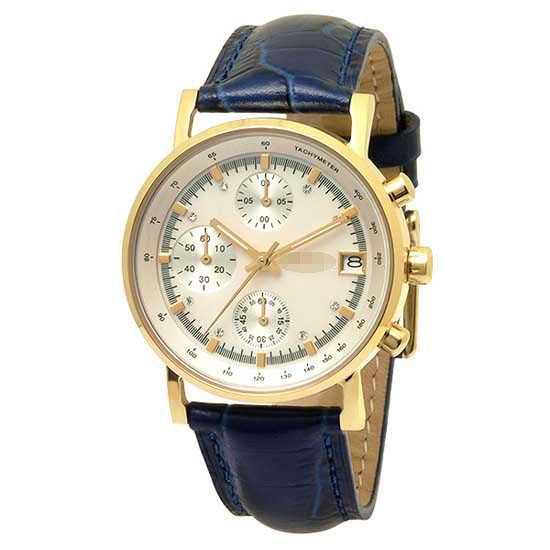 NY4529 Watch Battery