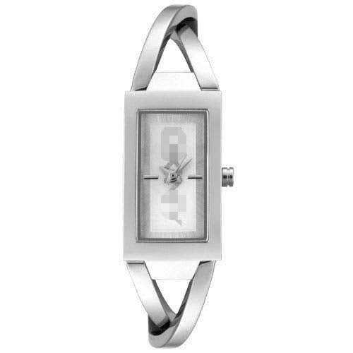 NY4673 Watch Battery
