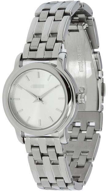 NY8488 Watch Battery
