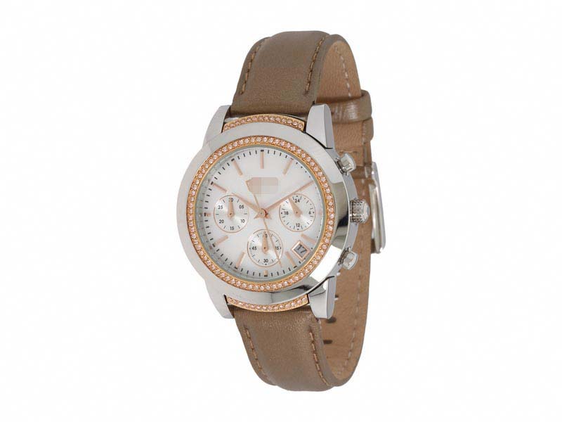 NY8586 Watch Battery