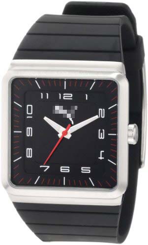 PU102511001 Watch Battery