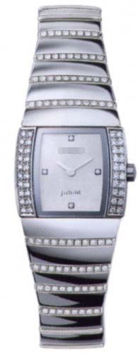 R13578909 Watch Battery