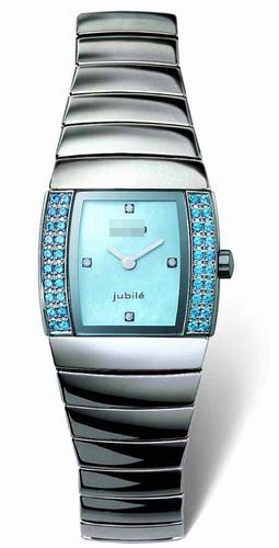 R13580912 Watch Battery