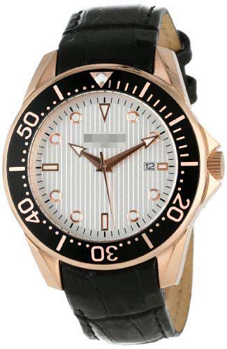 R2000-09-001L Watch Battery