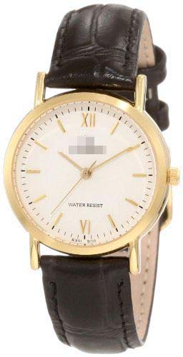 R301J900Y Watch Battery
