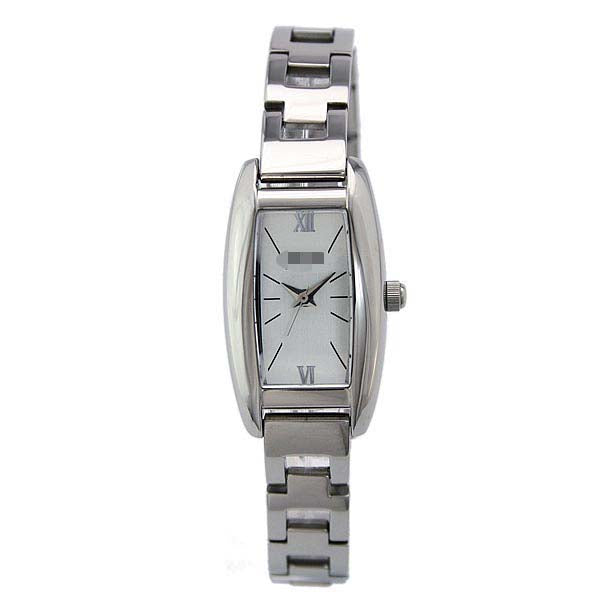 S699L-SB-SLV Watch Battery