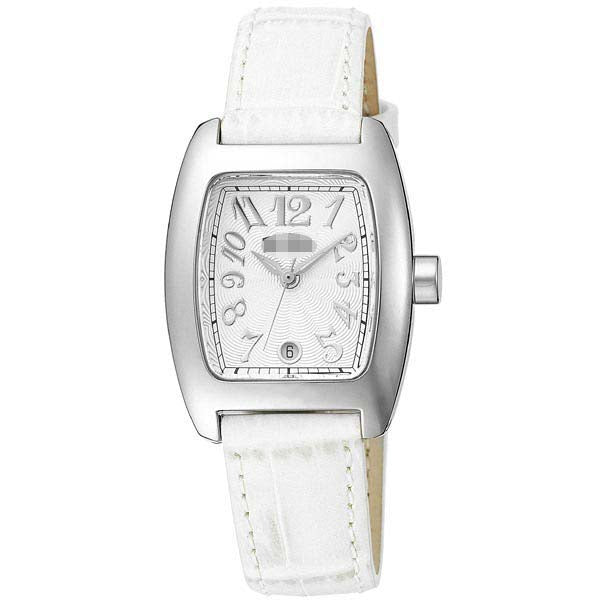 S922-SLV-WHT Watch Battery