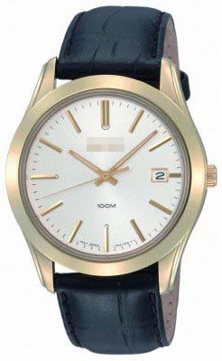 SGEE48P1 Watch Battery