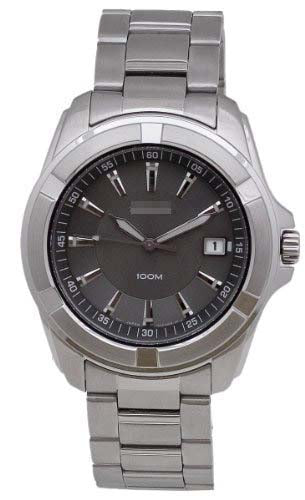 SGEE73P1 Watch Battery