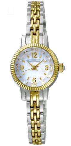 SILDP005 Watch Battery