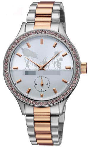 SILDT004 Watch Battery
