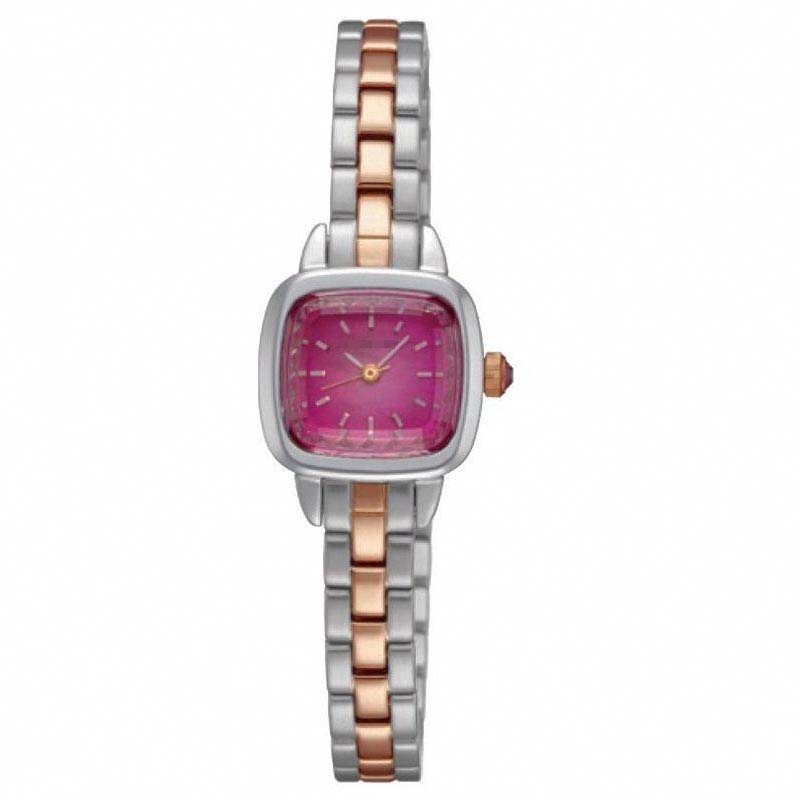 SILDV002 Watch Battery