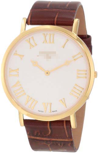 SK21203G Watch Battery