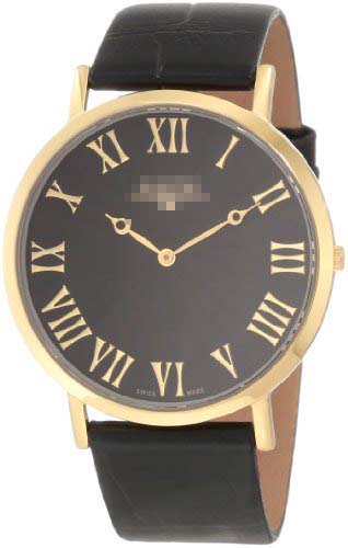 SK21204G Watch Battery