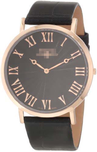 SK21206G Watch Battery
