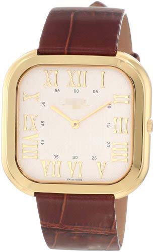 SK21209G Watch Battery