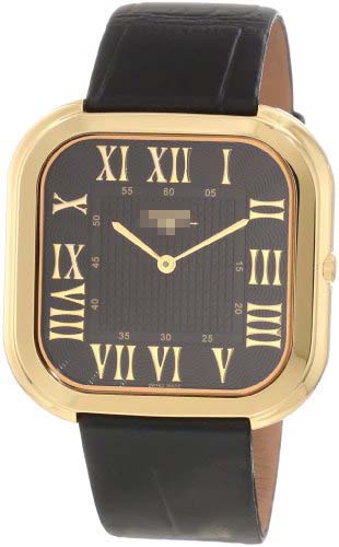 SK21210G Watch Battery