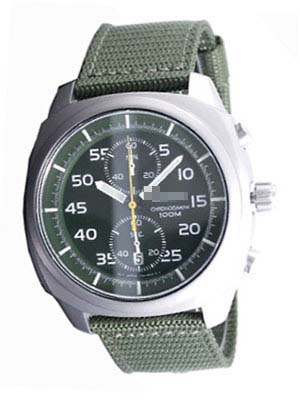 SNN219P1 Watch Battery
